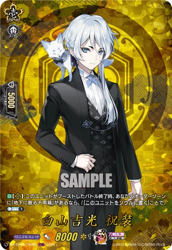 DZ-TB02/TRR 95